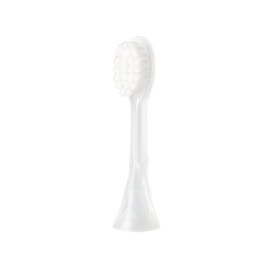 Brush Attachment